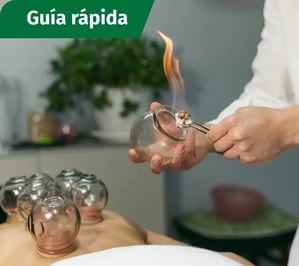 Guía rápida