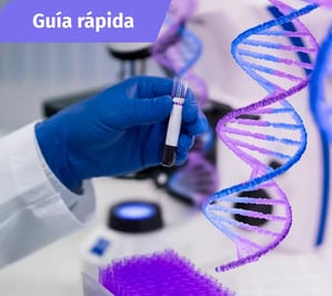Guía rápida